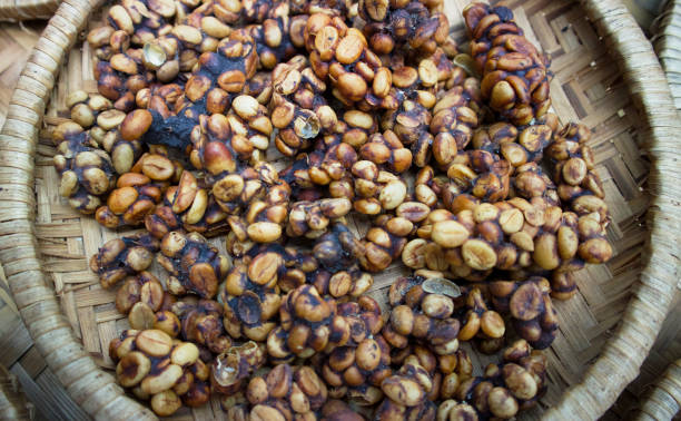istock Kopi luwak or civet coffee 1016602152