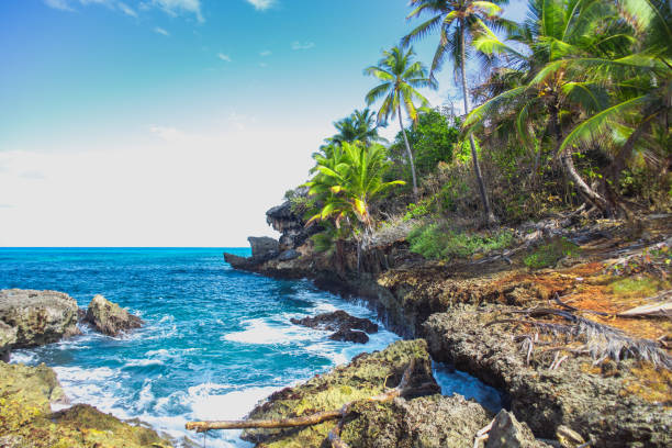 istock Wild tropical rocky shore, bay, lagoon. 1016605114