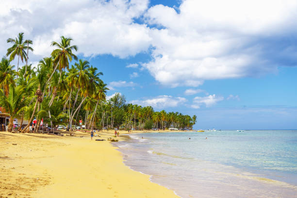 istock tropical picturesquare beach 1016605228