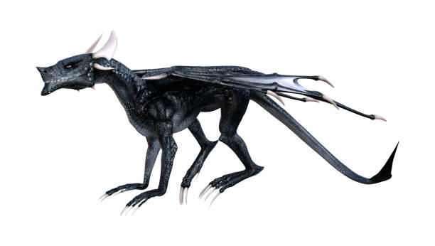 istock 3D illustration black fairy tale dragon on white 1016614944