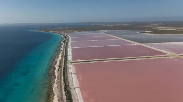 Photo of rose caribbean salt lake Bonaire island aerial drone top view