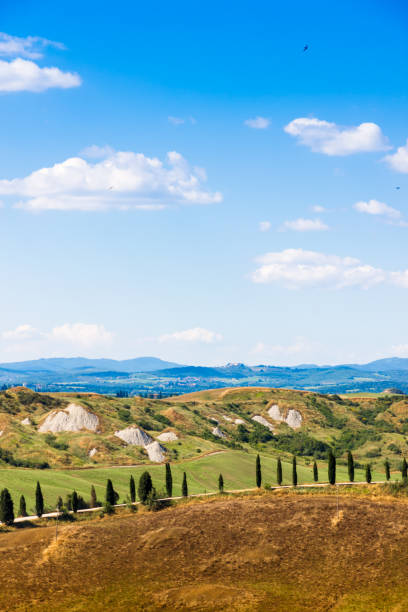 Summer view of Crete Senesi in Tuscany, Italy Road and cypresses on a hill near Asciano in Crete Senesi, Tuscany, Italy crete senesi stock pictures, royalty-free photos & images
