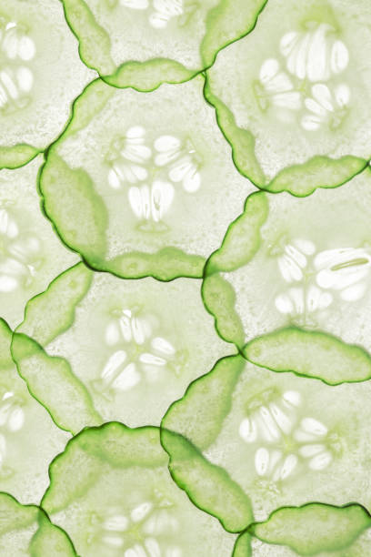 istock Translucent slices of cucumbers 1016620492