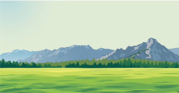 green glade against the background of mountains background drawing, green glade against the background of mountains grassland stock illustrations