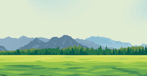 зеленая поляна на фоне гор - grass area illustrations stock illustrations
