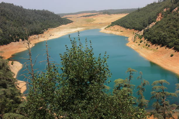 istock Lake in the middle of the forest 1016628420