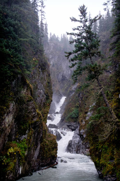 istock Creek and waterfall in Valdetz, Alaska. Rocky bank. A tilted tree. 1016631318
