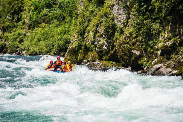 istock Small group of men and women white water river rafting 1016648016