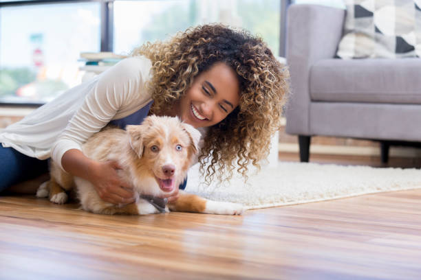 Young woman training puppy Confident young mixed race woman trains her adorable puppy at home. lady dog stock pictures, royalty-free photos & images