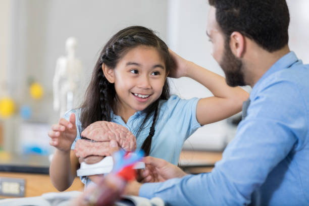 istock Middle school student discusses the human brain 1016655070