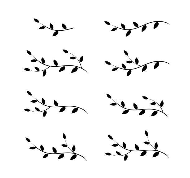 https://media.istockphoto.com/id/1016655796/vector/isolated-tree-branches-with-leaves.jpg?s=612x612&w=0&k=20&c=LJGoa7re2Ov4kKT5jMv0b5LeAD7qBzd0ONJRV4GtdRI=