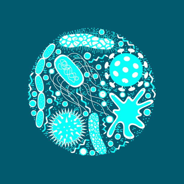 Germs and bacteria icons set  isolated on blue  background. Germs and bacteria icons set  isolated on blue  background.  Shape of bacterial cell: cocci, bacilli, spirilla.  Vector  illustration in flat style. laboratory bacterium petri dish cell stock illustrations