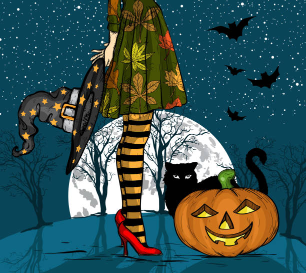 ilustrações de stock, clip art, desenhos animados e ícones de halloween night. witch with wizard hat in hand, black cat and pumpkin, big moon on background - adult autumn backgrounds beauty