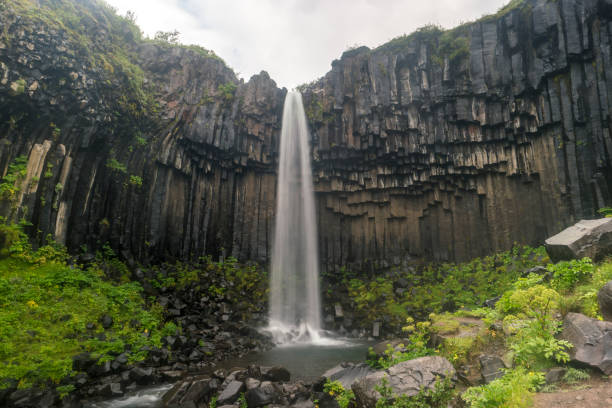 istock Svartifoss Black Waterfall (Skaftafell), Iceland 1016661094