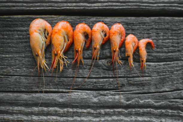 istock On a wooden table beautifully arranged shrimp 1016684644
