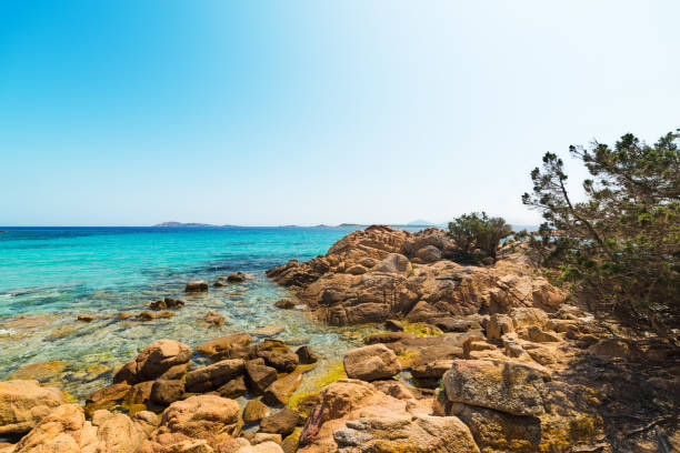 istock sunny day in Sardinia 1016685446