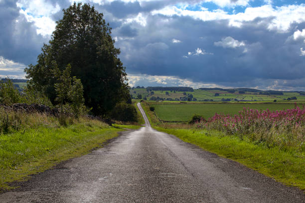 istock Road in rural area 1016688890