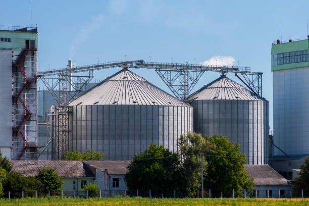 istock Elevator for grain storage. Grain warehouse. Agricultural complex against a blue sky 1016697698