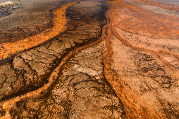 istock Abstract of Grand Prismatic Spring 1016697736