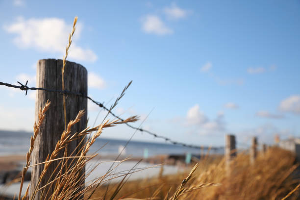 Fence along a beach, surrounded by grass  with blue skies