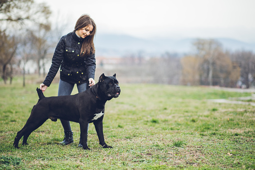 Young brunette woman posing with her dog in public park