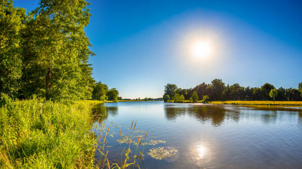 Sunny day at the river Summer landscape with trees, meadows, river and bright sun lower saxony stock pictures, royalty-free photos & images