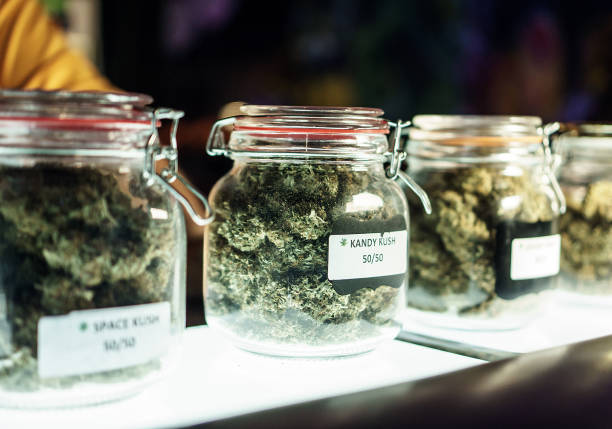 Jars Of Cannabis Flowers A dispensary worker vending jars of cannabis. medical cannabis stock pictures, royalty-free photos & images