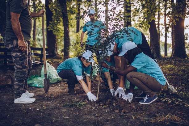 voluntarios de plantación de árboles en el parque - activista fotografías e imágenes de stock