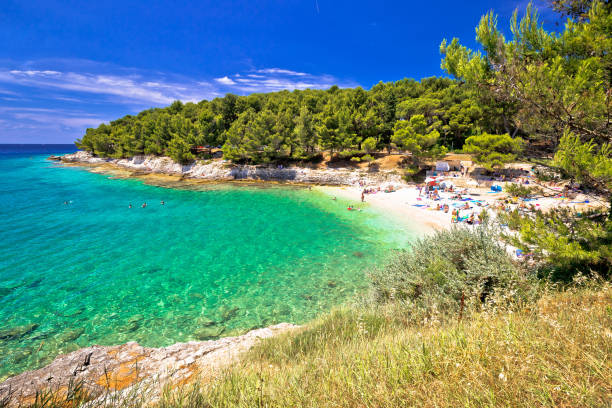 idyllic turquoise beach in pula summer view, blurred people, istria region of croatia - adriatic sea sea architecture bay imagens e fotografias de stock