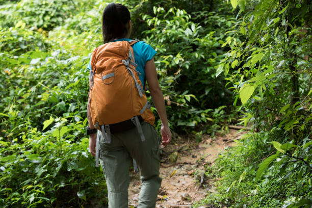 istock backpacking woman hiking on trail in rainforest 1016734268