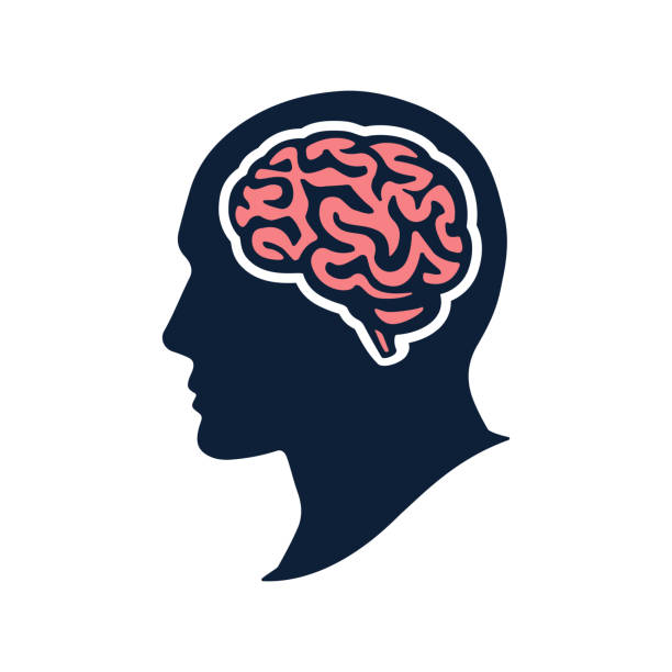 ilustraciones, imágenes clip art, dibujos animados e iconos de stock de cabeza con cerebro de silueta vector plano ejemplares aislados en blanco - cabeza humana
