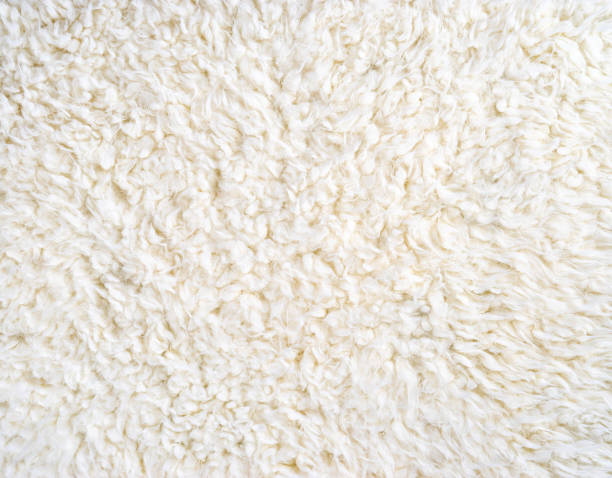 istock Top view of white artificial fur texture 1016748400