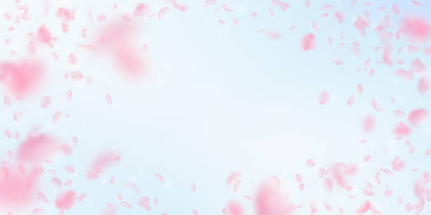 stockillustraties, clipart, cartoons en iconen met sakura bloemblaadjes vallen. romantische roze bloemen vignet. vliegende bloemblaadjes op blauwe hemel brede pagina - wedding back