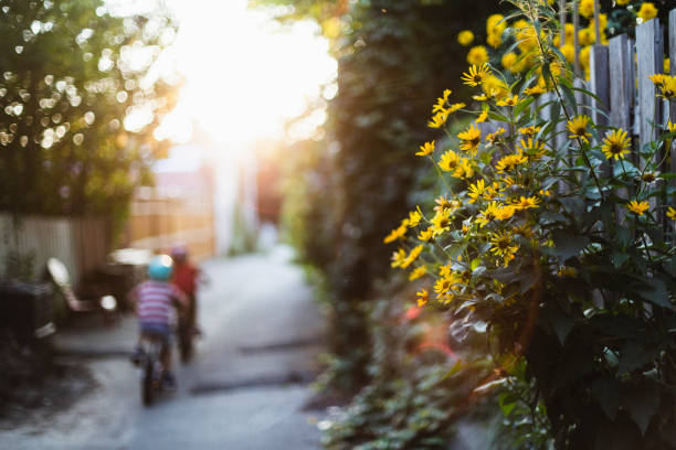 Young children riding a bicycle in an alley at sunset stock photo