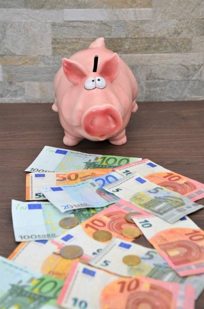 istock euro money notes with piggy bank 1016761440