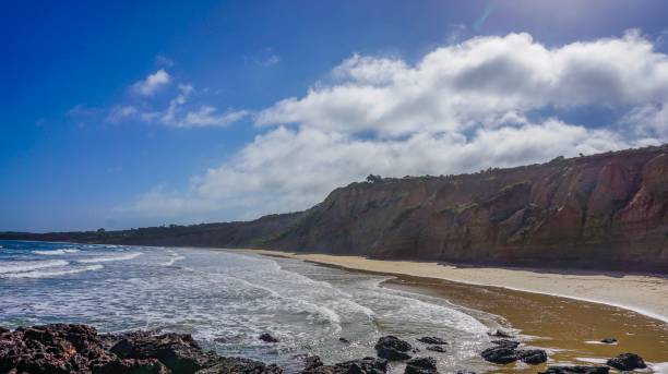 istock Beach at the Great Ocean Road in Australia 1016772246