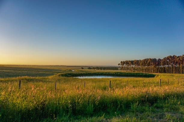 water safe in the outback of australia - scenics landscape windmill sunrise imagens e fotografias de stock