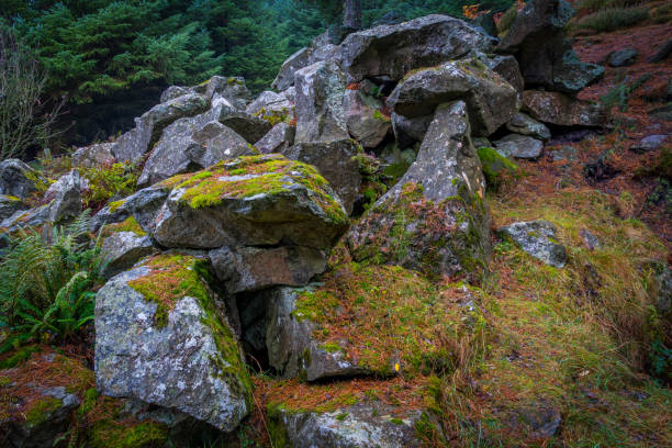 istock Rocks beside an ancient quarry in Blacktop woods. 1016777258