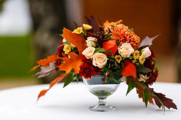 Photo of autumn bouquet in a vase, berries, nuts on a white wooden background