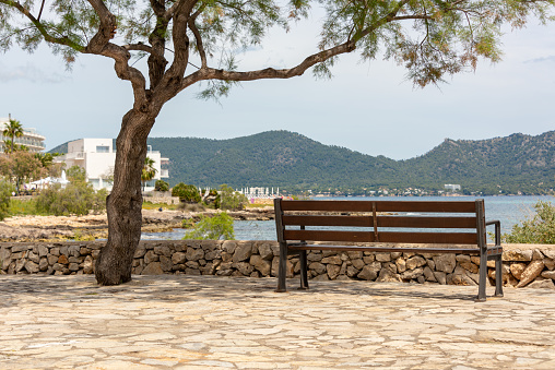 A bench and a single tree on the promenade in the holiday resort Cala Millor with a beautiful view of Mediterranean on the Spanish Balearic island Mallorca in front of a radiant blue sky