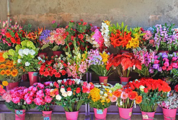 Many kinds of beautiful flowers are waiting for customers outside florist shop. Venice, Italy.