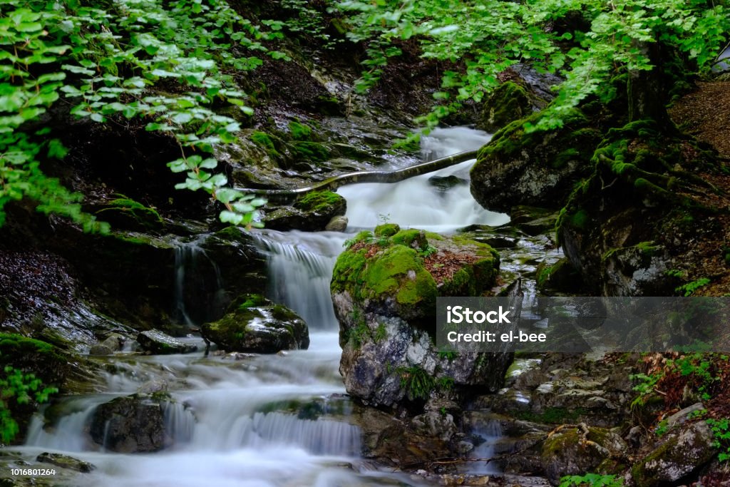 River with waterfalls in the forrest with beautiful green trees River with waterfalls in the forrest with beautiful green trees. Annecy Stock Photo
