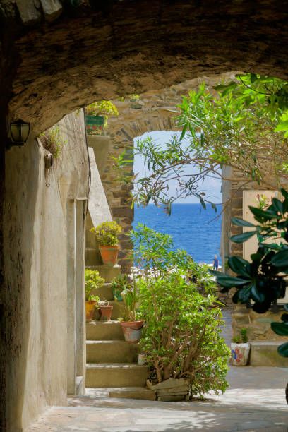 istock Terrace with green plants and sea view 1016815946