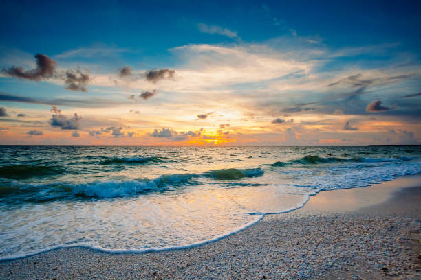 Sun, Seafoam, Shells Marco Island in Florida has beautiful sunsets. The waters of the Gulf of Mexico roll in over seashells deposited on the beach. animal shell photos stock pictures, royalty-free photos & images