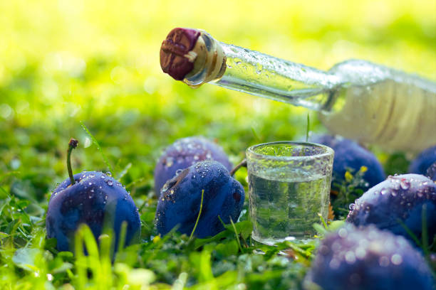 plum brandy or schnapps with fresh and ripe plums in grass - plum fruit organic food and drink imagens e fotografias de stock