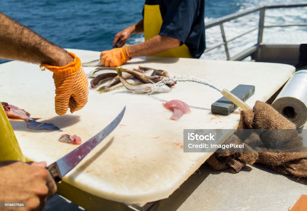 Fisherman On Ship Deck Cutting Fish Fillets Overlooking Ocean