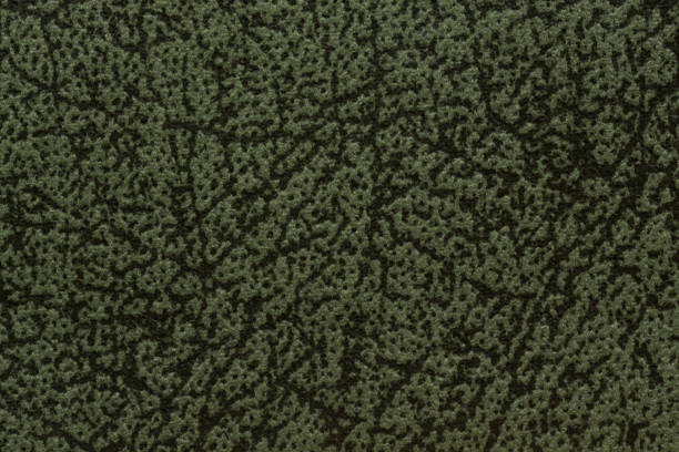 istock Uncommon textile background in saturated deep green hue 1016827830