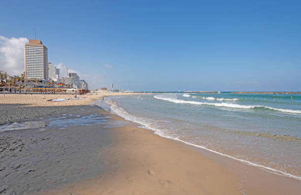 istock Beach in Tel Aviv on the Mediterranean Sea 1016840664