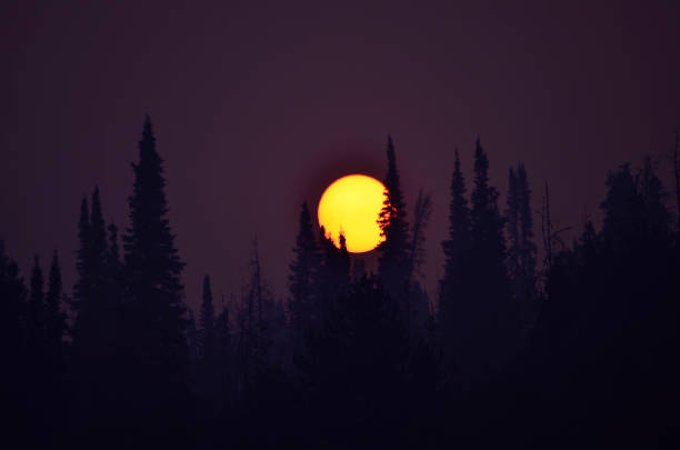 istock Smokey Sunrise Cliff creek Fire 1016848010