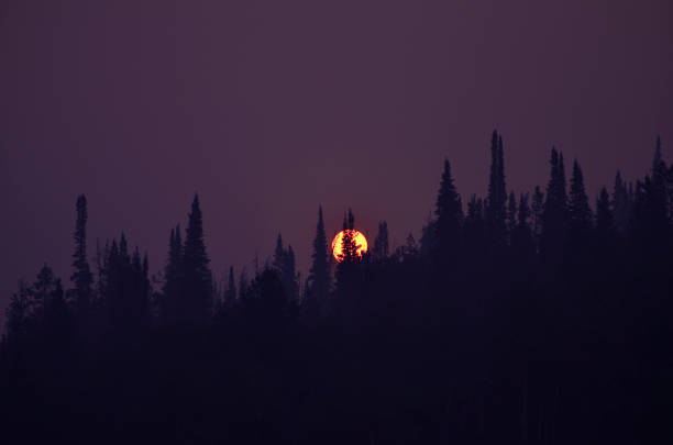 istock Cliff Creek Fire Sunrise in the smoke 1016848018